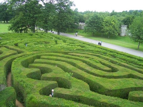 An aerial view of a green hedge maze with visitors navigating its winding paths