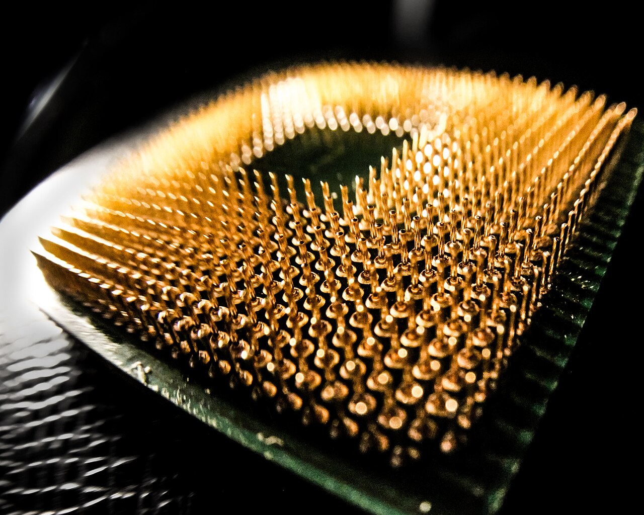 A macro close-up of a computer processor's underside showing hundreds of gold connector pins