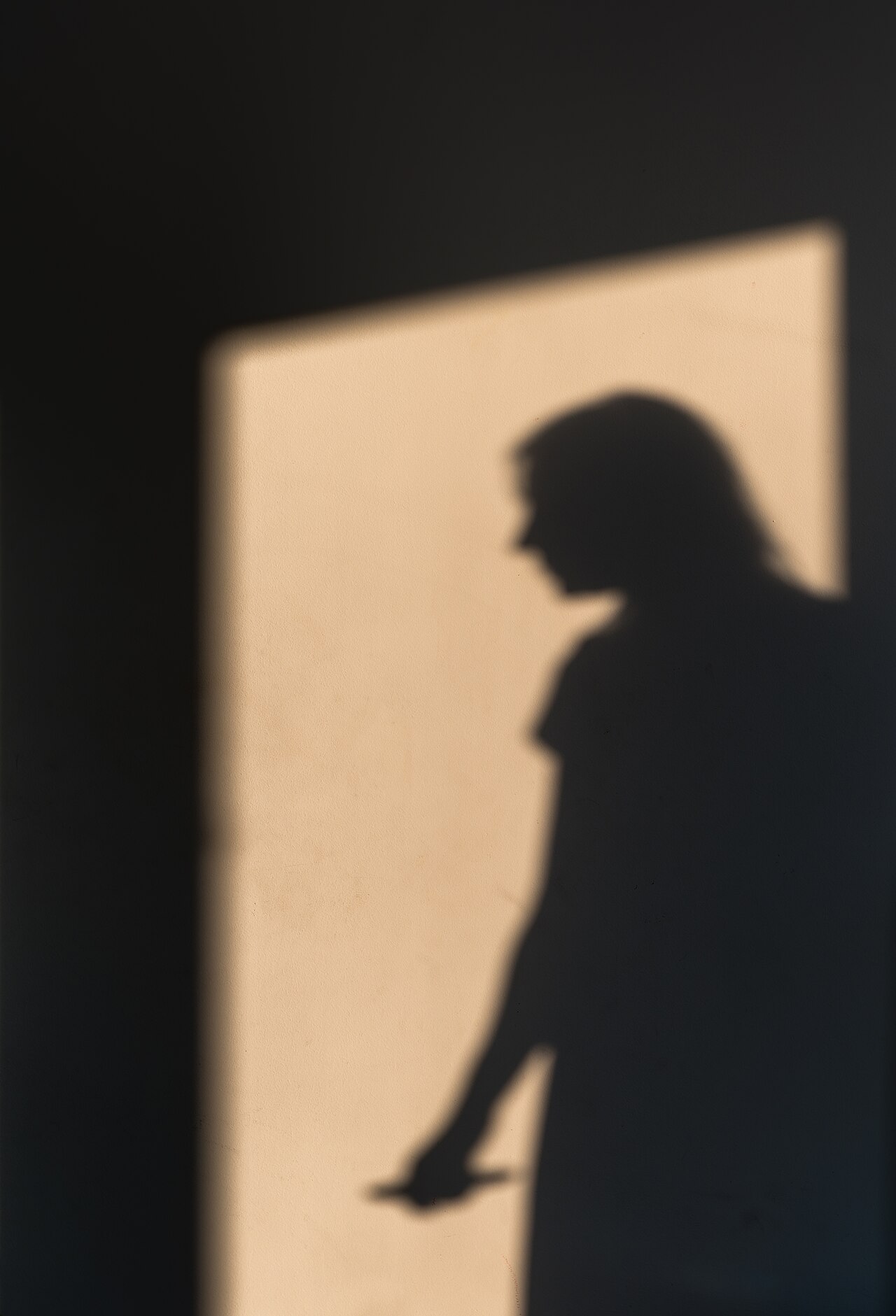 The dark silhouette shadow of a person cast on a sunlit patch of a plain wall