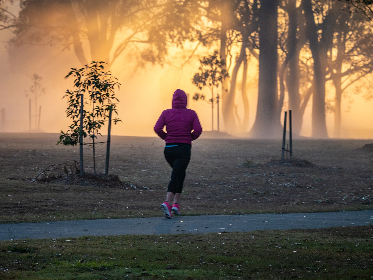 A person jogging through a misty park at sunrise