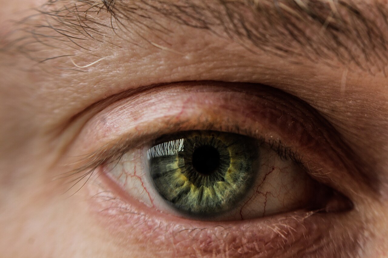An extreme macro close-up of a human eye with a green iris and visible eyelashes