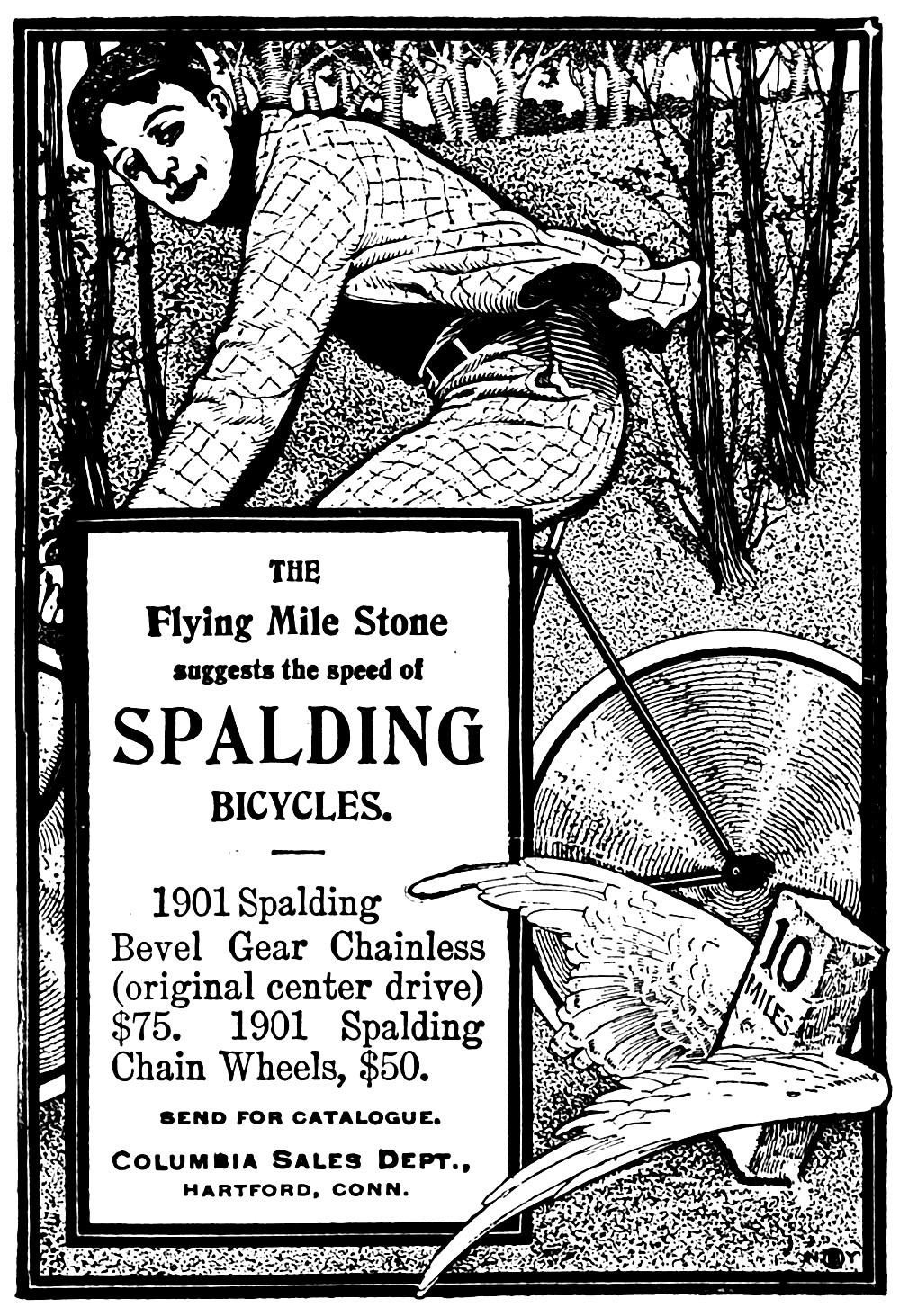 A vintage 1901 print advertisement for Spalding bicycles with illustrated artwork